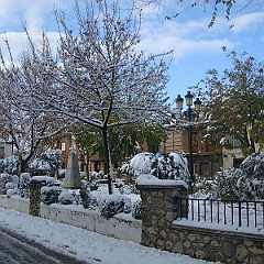 NIEVE - 14 - 12 - 09 038